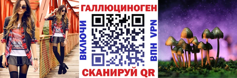 Галлюциногенные грибы прущие грибы  где можно купить наркотик  ОМГ ОМГ зеркало  Хасавюрт 